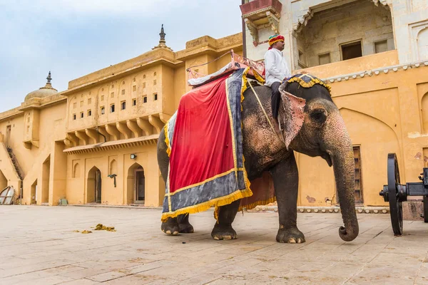 Słoń Historycznym Pałacu Amer Jaipur Indie — Zdjęcie stockowe