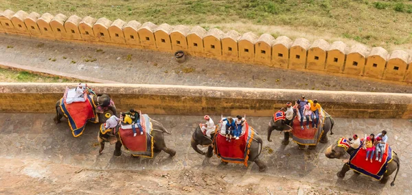 Panorama Słoni Zabierających Turystów Pałacu Amer Jaipur Indie — Zdjęcie stockowe