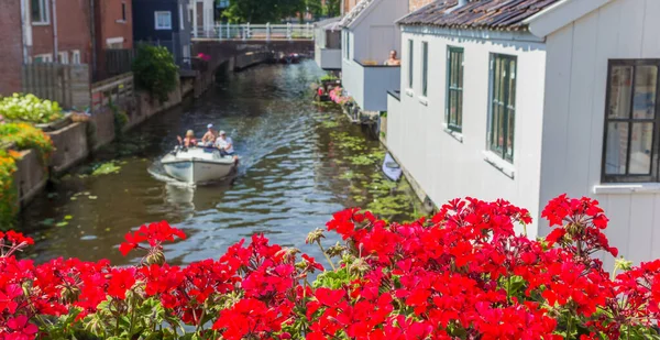 Panorama Flores Vermelhas Ponte Sobre Rio Damsterdiep Appingedam Países Baixos — Fotografia de Stock