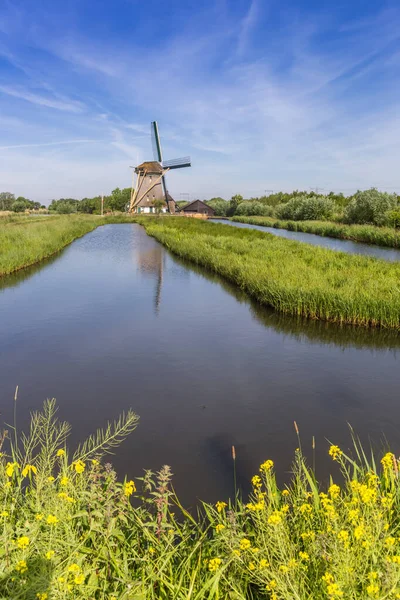 Fiori Davanti Uno Storico Mulino Vento Noord Holland Paesi Bassi — Foto Stock