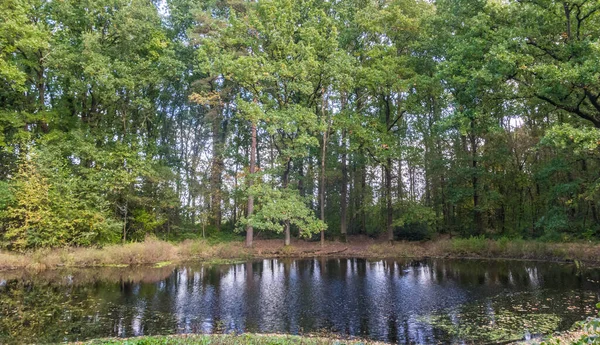 Piccolo Lago Nella Riserva Naturale Appelbergen Vicino Groningen Paesi Bassi — Foto Stock