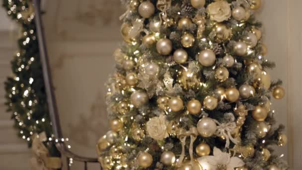 Tilt up shot di Capodanno 2019 albero o albero di Natale, proporzioni piatte 422 hq — Video Stock