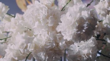 Parralax atış güzel Aster ve gül düğün dekor içinde yukarı kapatın