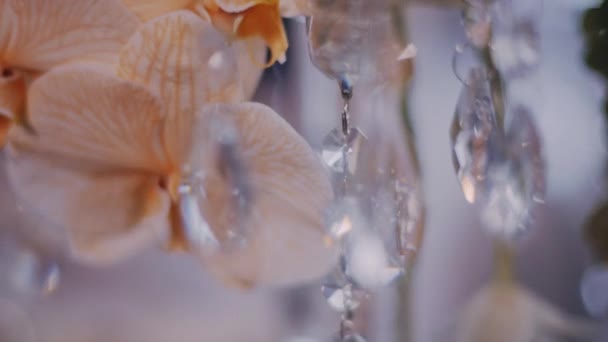 Super plano plano de orquídeas de melocotón en centros de candelabros de cristal — Vídeo de stock