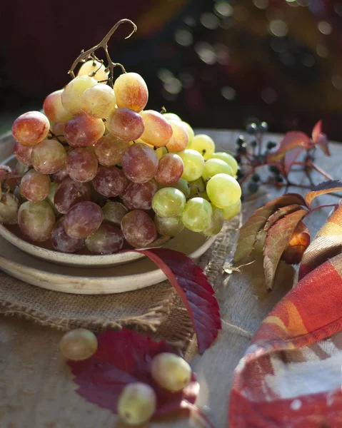 Виноград Крупным Планом Осенних Листьях — стоковое фото
