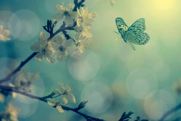Винтажное фото бабочки и цветов деревьев