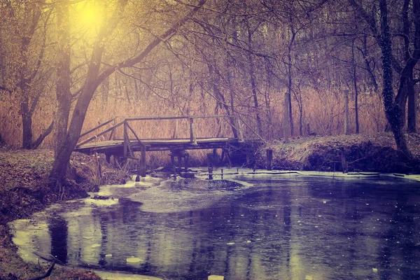 Vintage Foto Ponte Nella Foresta — Foto Stock