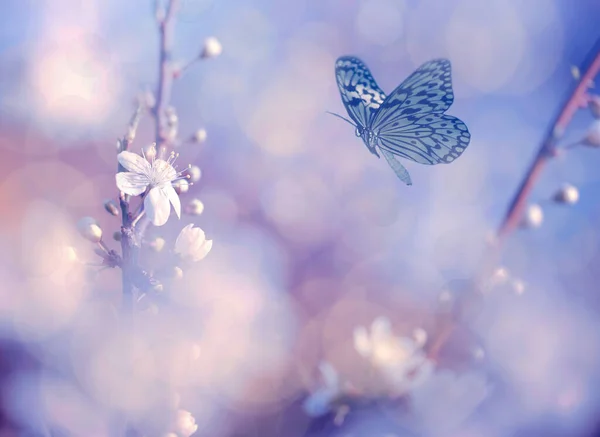 Foto Vintage Flores Mariposa Árbol — Foto de Stock