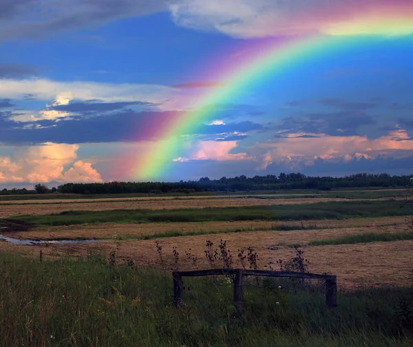 Schöner Sonnenuntergang Auf Der Wiese Grünes Gras — Stockfoto