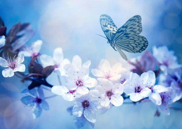 Vintage Photo Butterfly Tree Flowers — Stock Photo, Image