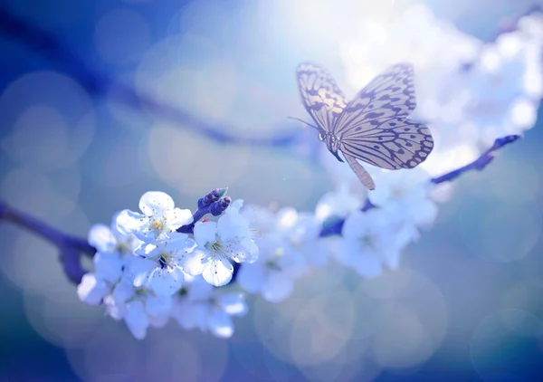 Foto Vintage Flores Mariposa Árbol — Foto de Stock