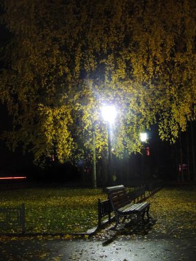 Parkta sonbahar akşamı