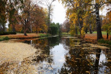 Güz Parkı 'ndaki göl