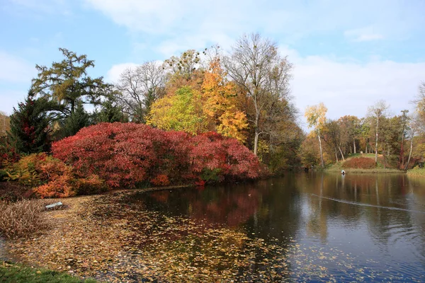 Jezero v podzimním parku — Stock fotografie