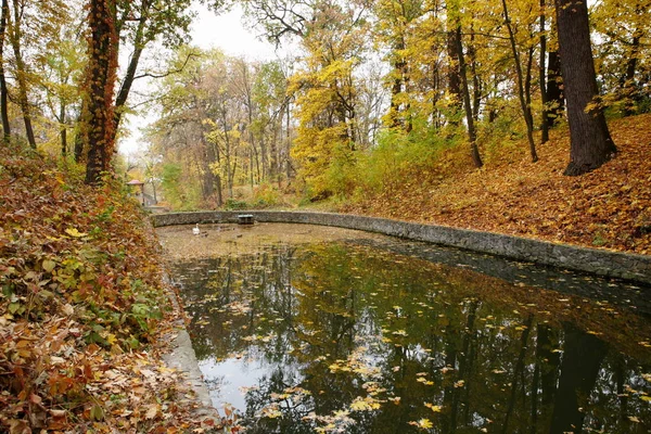 Jezioro w jesiennym parku — Zdjęcie stockowe