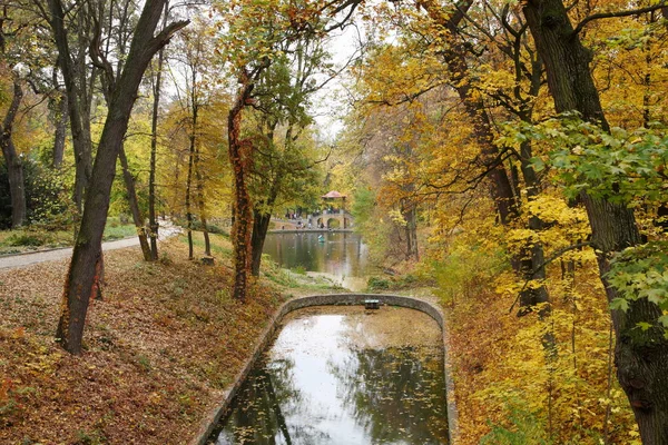 Güz Parkı 'ndaki göl