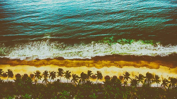 Deniz, kum ve palmiyeli üç çizgi