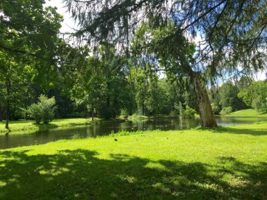 Tsarskoye Selo Saint Petersburg'daki renkli yaz