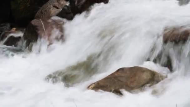 Fast Mountain Stream Rocks Gorge Rapid Water Flow Boils Foams — Stock Video