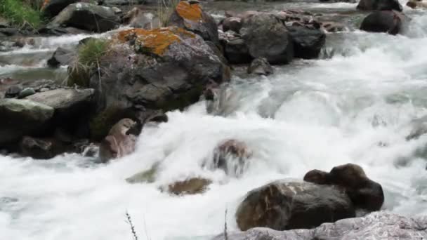 Ruisseau Montagne Rapide Parmi Les Rochers Gorge Écoulement Rapide Eau — Video