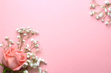 Pembe arka planda gül buketi ve çingene çiçeği, yakın plan. Düğün tasarımı, selamlar, davetiyeler, duvar kağıtları.