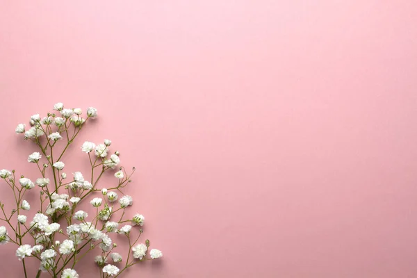 Pembe arka planda bebek nefesi çiçekleri, düğün tasarımı, tebrik kartları, maket.