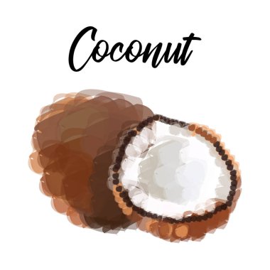 Vektör fırça içinde Hindistan cevizi kartı.