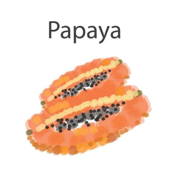 Papaya Képeslapot Vektor Ecset — Stock Vector