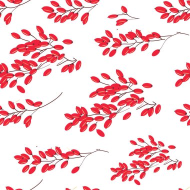 Kızamık el olgun kırmızı meyveler demet seamless modeli çekilmiş. Stil doğal organik vitamin gıda kroki.