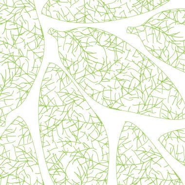 Yeşil yaprak ile desen beyaz arka planda anahatlar