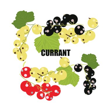 Siyah, beyaz ve kırmızı frenk üzümü görüntüsü ile İllüstrasyon . Parlak meyve logosu veya tasarım için simge. Doodle stili