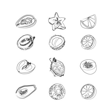 Büyük meyve seti doodle simgeleri. Beyaz arka planda yalıtılmış anahat çizimleri. Tasarımınız için vektör gıda simgeleri