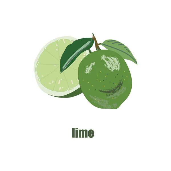 Ilustración Con Imagen Una Lima Lima Corte Logo Icono Fruta — Archivo Imágenes Vectoriales