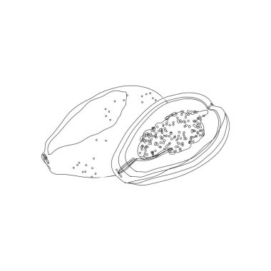 Bir kesim papaya ve papaya görüntü ile Anahat İllüstrasyon. Kontur meyve logosu veya tasarım için simge. Doodle stili