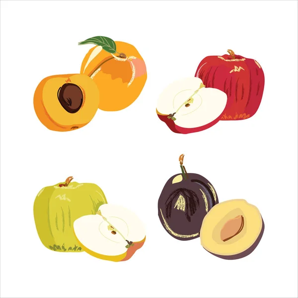 Grote Fruit Set Doodle Illustratie Geïsoleerd Witte Achtergrond Vector Voedsel — Stockvector