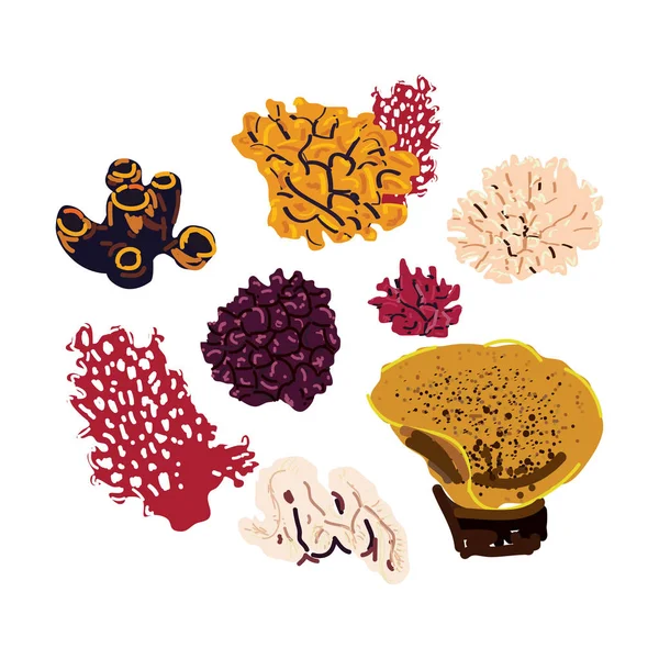 Beyaz bir arka planda izole renkli mercanlar ayarlayın. Vektör sualtı Flora ve fauna.