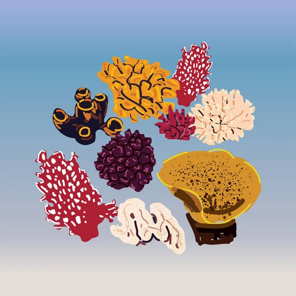 Beyaz bir arka planda izole renkli mercanlar ayarlayın. Vektör sualtı Flora ve fauna.