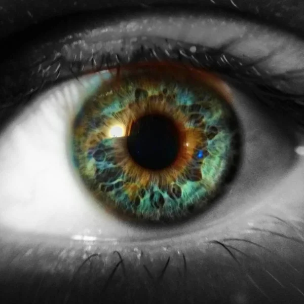 Czarno Białe Kolorowe Oczy — Zdjęcie stockowe