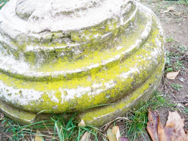 güzel eski sütun temel üzerine park çim çimen ve sarı yapraklar ile kaplı