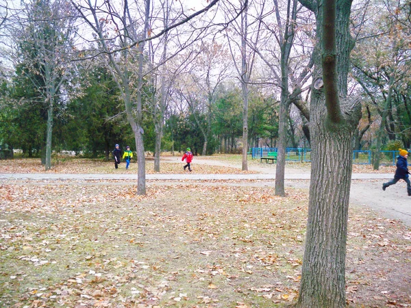 Crianças Felizes Brincam Entre Árvores Parque Cidade Dia Outono — Fotografia de Stock