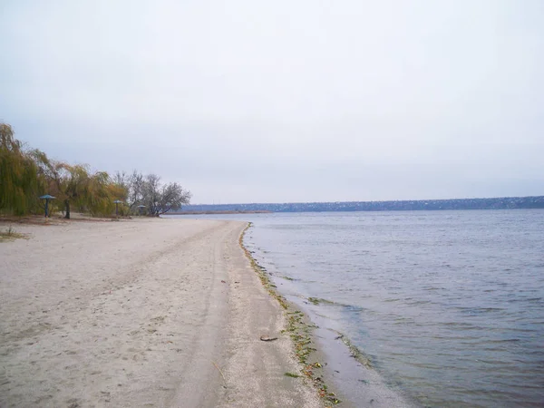 Piękny Pusty Riverbank Jesień Suchych Trzcin Przed Zachmurzonym Niebie — Zdjęcie stockowe