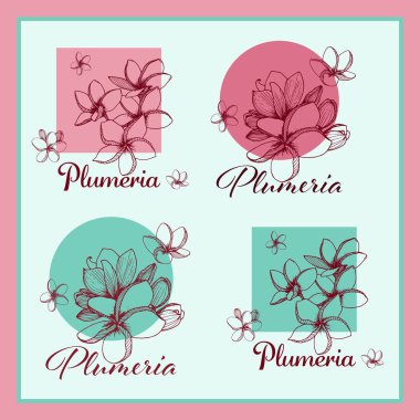 Tasarım için çiçek el çizilmiş elemanları kümesi. Plumeria çiçek vektör illüstrasyon.