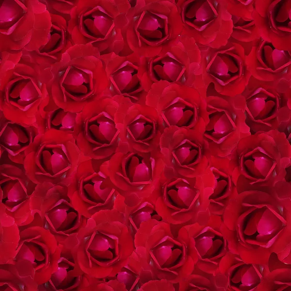 Abstract background with red roses