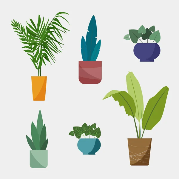 Plantes Intérieur Pour Décoration Maison Illustration Style Dessin Animé Plat — Image vectorielle