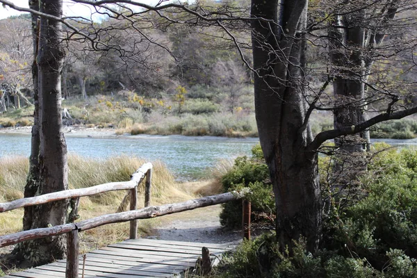 Üzerinden satış arıyorsunuz