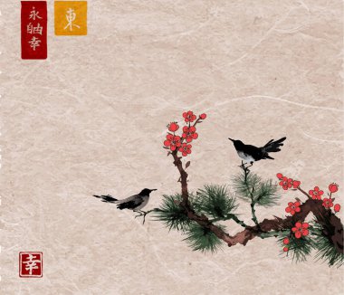 Çam ağacı, çiçeği sakura kiraz ağacında ve antika arka plan üzerinde küçük siyah kuş. Geleneksel oryantal mürekkep boyama sumi-e, u-sin, go-hua. Hiyeroglif - sonsuzluk, özgürlük, mutluluk içerir