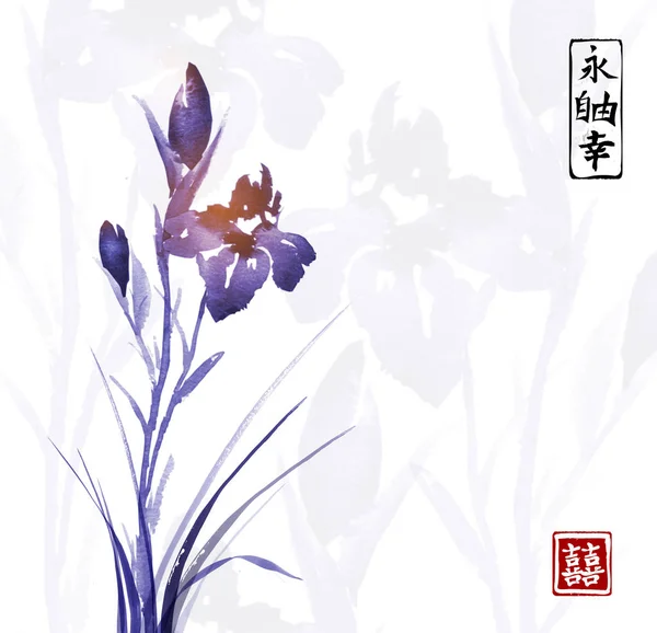 Iris Bloem Traditionele Oosterse Inkt Schilderij Sumi Sin Hua Bevat — Stockvector