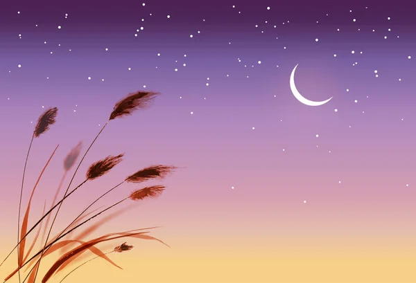 Hojas Hierba Estrellas Cielo Del Amanecer Ilustración Vectorial Pintura Tradicional — Vector de stock