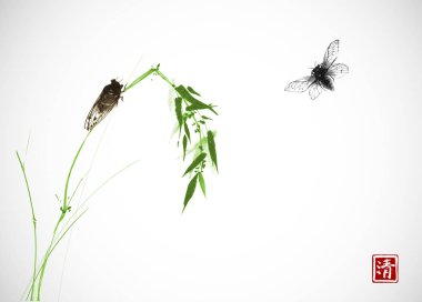 Whtie Lotus çiçekleri