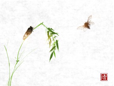 böcek ve yeşil yaprakları parlak beyaz arka plan üzerinde